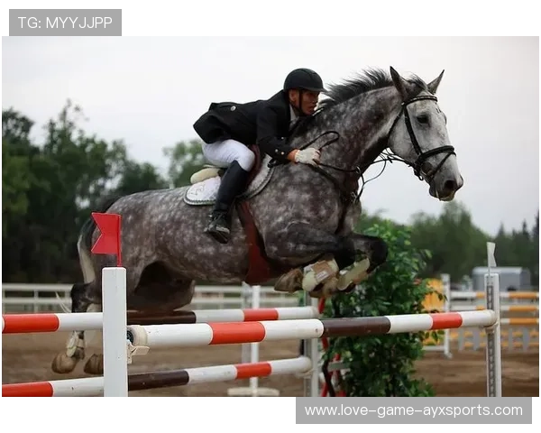 马术障碍赛黑马爆冷夺冠,骑手泪洒赛场 马术障碍赛黑马爆冷夺冠,骑手泪洒赛场